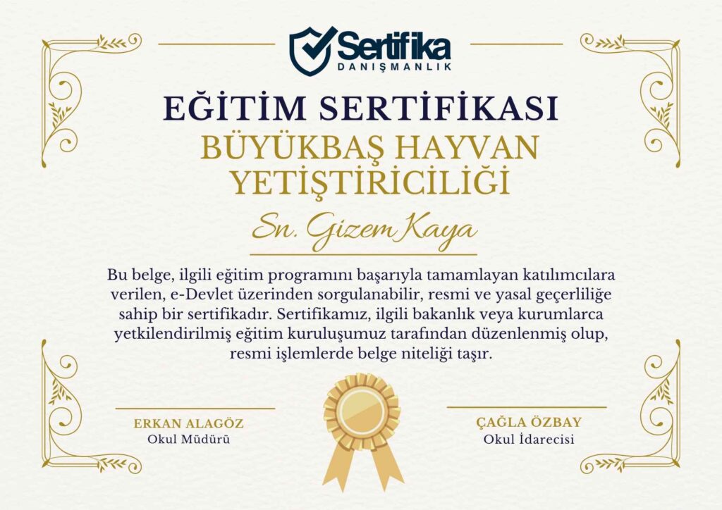 BÜYÜKBAŞ HAYVAN YETİŞTİRİCİLİĞİ USTALIK & KALFALIK BELGESİ
