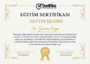 ZEYTİN İŞLEME USTALIK & KALFALIK BELGESİ